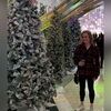 varleyrachel